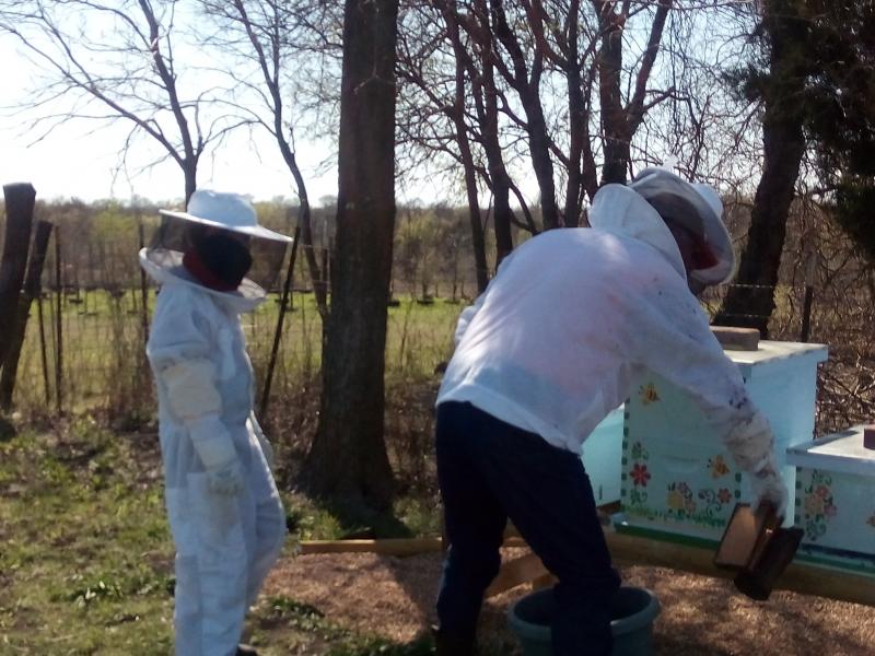 Beekeeping